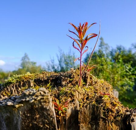 Bæredygtig shopping på black friday – sådan gør du